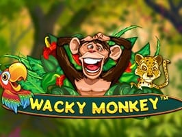 Wacky Monkey